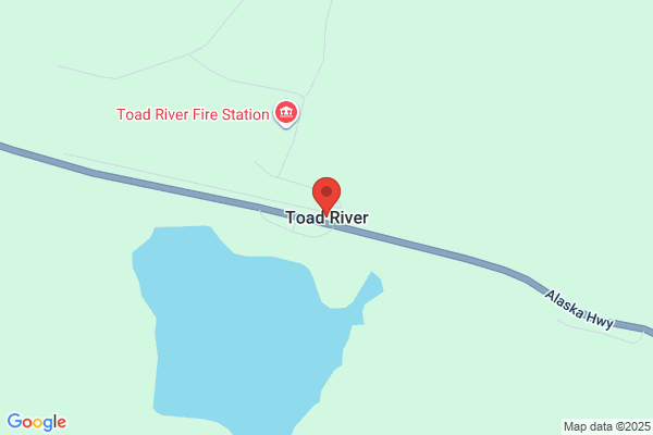 Toad At Two Rivers