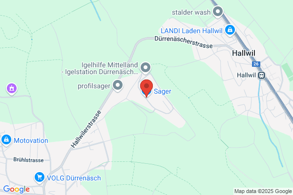 Saglan