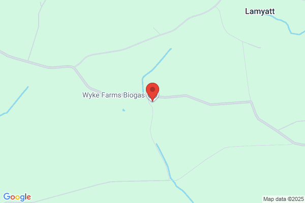 Wyke Farms