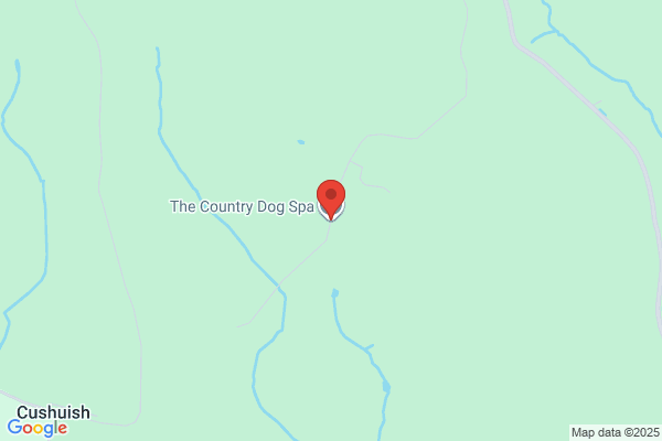 Country Style Dog Grooming & Doggy Day Care Sherborne