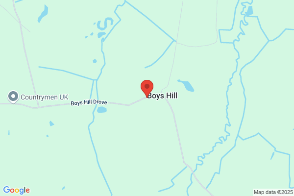 Boys Hill Pine