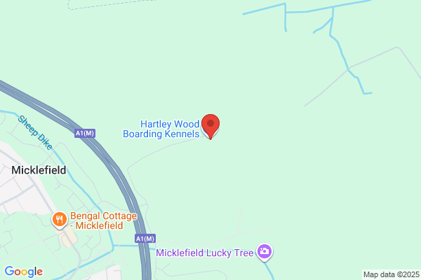 Hartleywood Cattery