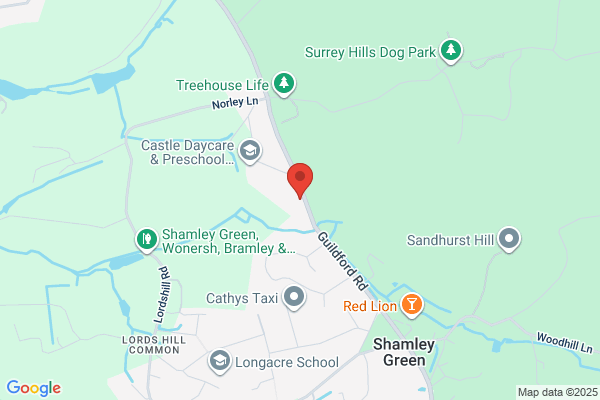Wasp nest removal Guildford