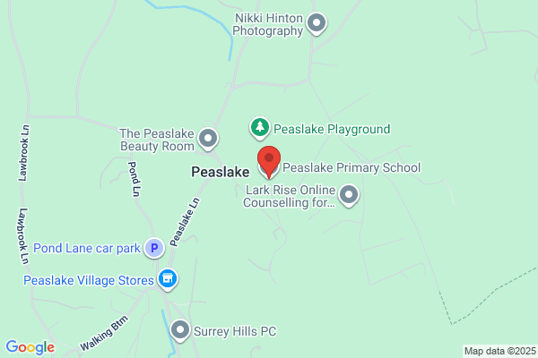 Peaslake School