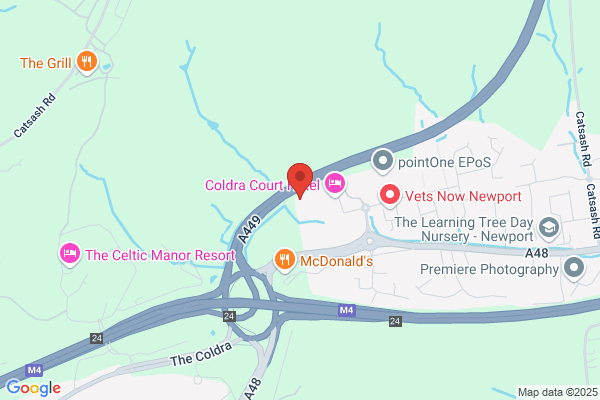 Springs Health Club