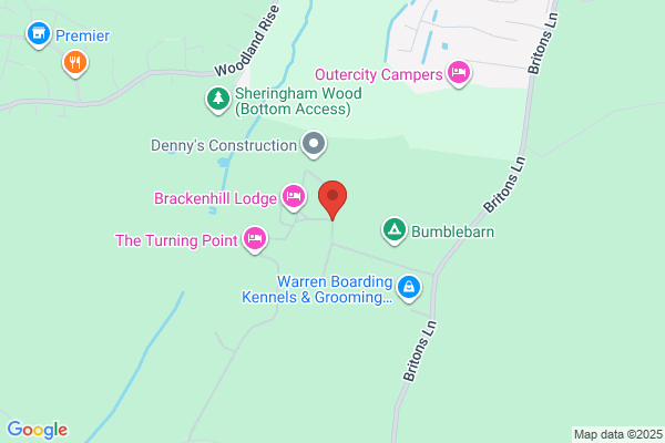 R R Pigott