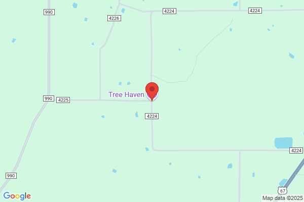 Tree Haven