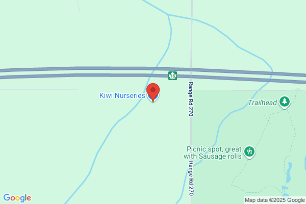 Kiwi Nurseries