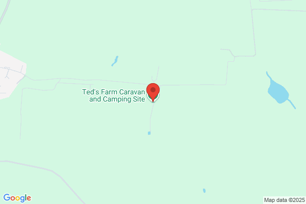 Ted's Traditional Beef