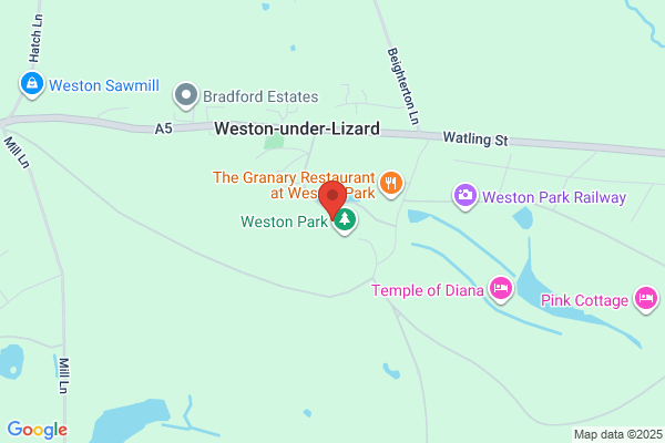 St Andrews Western Under Lizard
