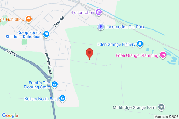 Purrfect