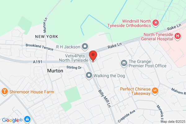 Vets4Pets - North Tyneside