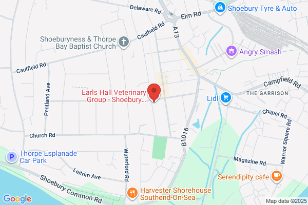 Shoebury Veterinary Surgery - Shoeburyness