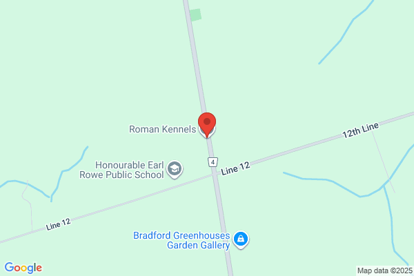 Romjil Kennels