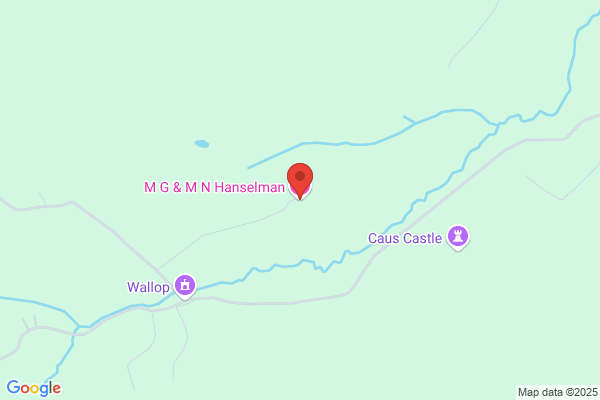 M G Hanselman