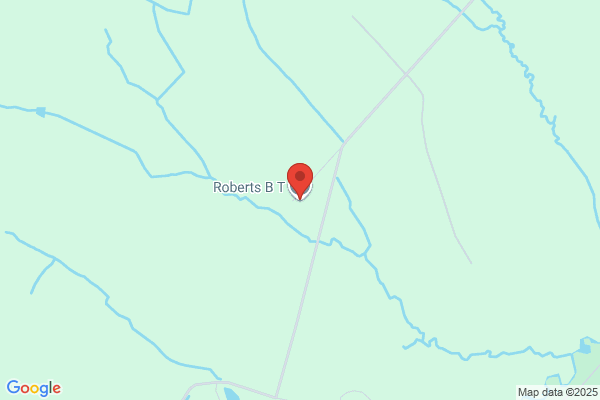 B T Roberts