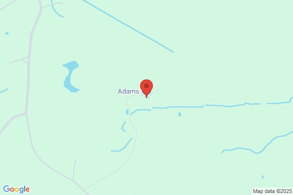 S J Adams