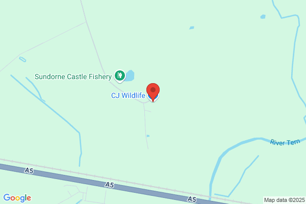 CJ Wildbird Foods Ltd