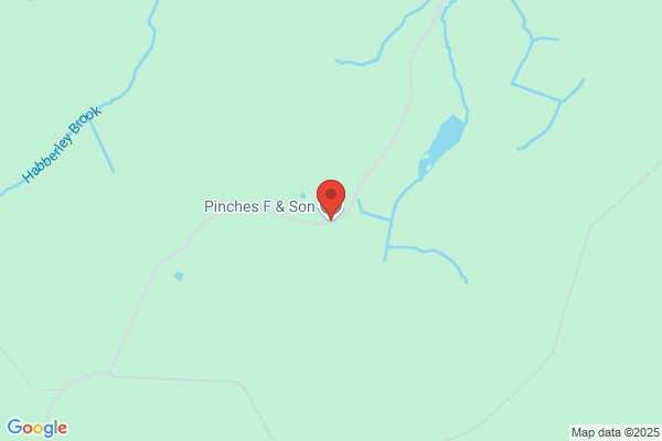 D S Pinches & Sons