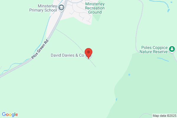 David Davies
