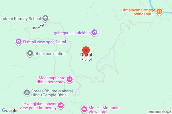 A P Dhital