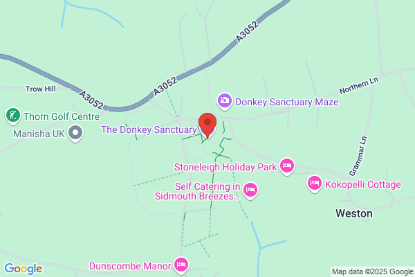 The Donkey Sanctuary