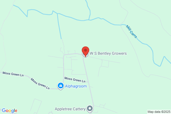 Bentley West Roses Ltd