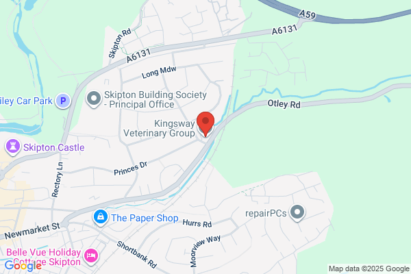 Kingsway Veterinary Group