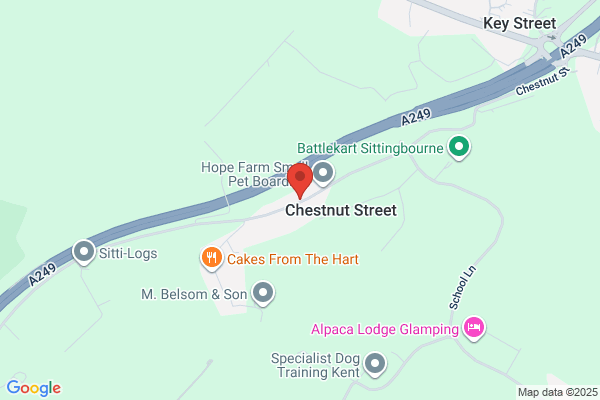 Chestnut Coachworks