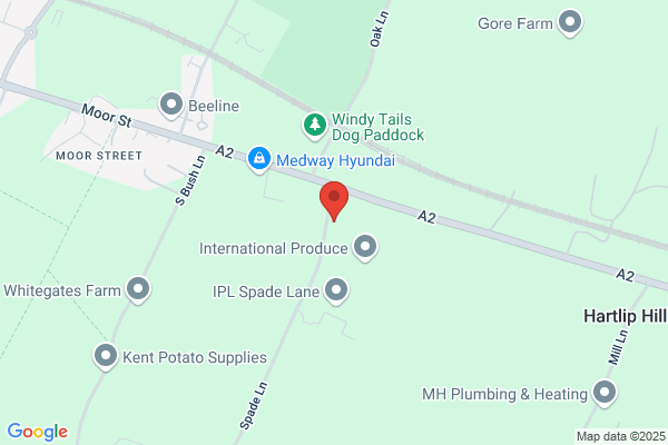 Thames Fruit Ltd