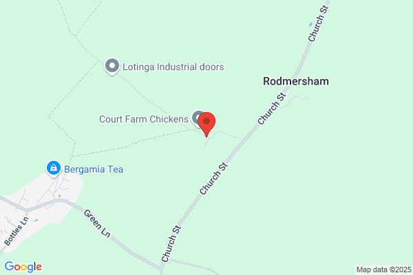 Invicta Tree Care Ltd