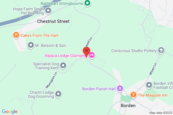 Borden C Of E Primary School