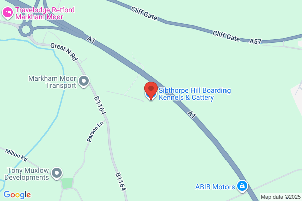 Hillfield Cattery & Small Pets Palace