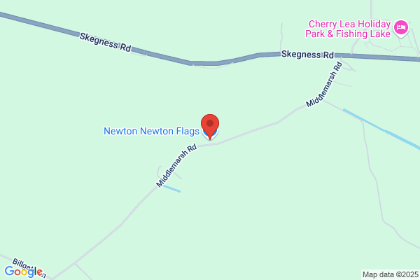 Newton Newton