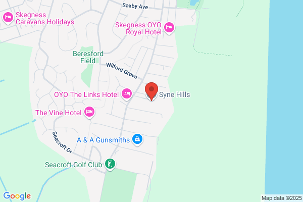 Syne Hills