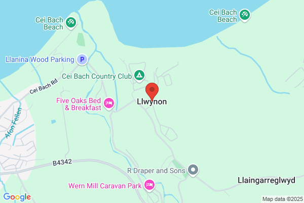 Llwynon