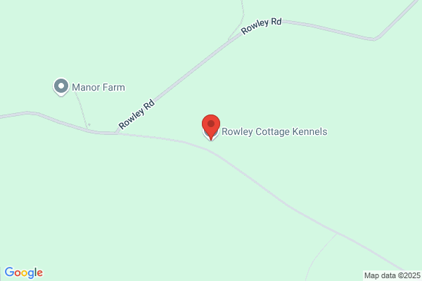 Cottingham Boarding Kennels