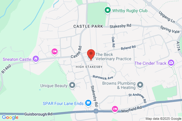 The Beck Veterinary Practice