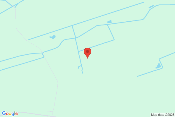 Woods Of Windsor Ltd
