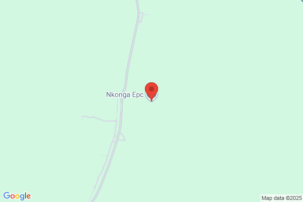 Nkonga Community Project
