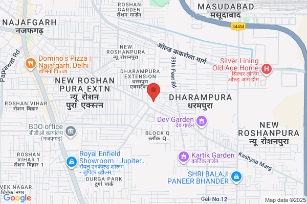 The Desi Junction