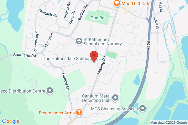 Holmesdale Technology College