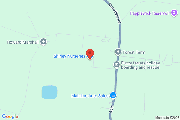 Shirley Plant Centre