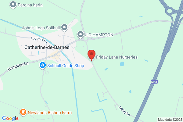 Spring Lane Nurseries