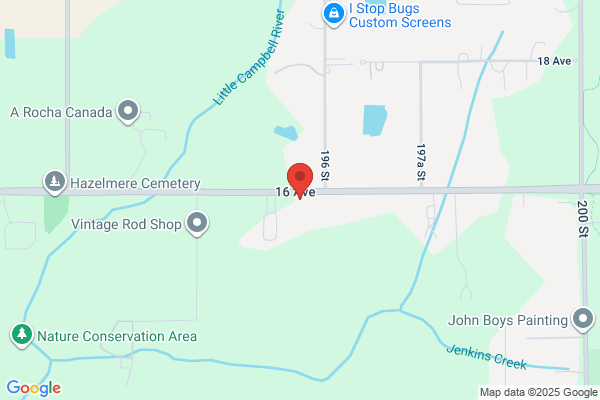 Hazelmere Cattery