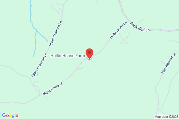 Hollies Dairies