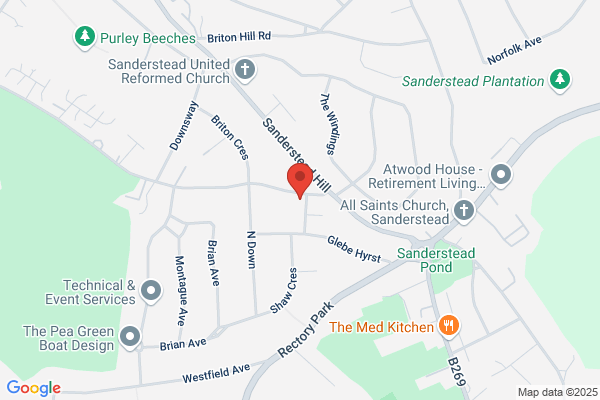 Wasp Nest Removal Croydon