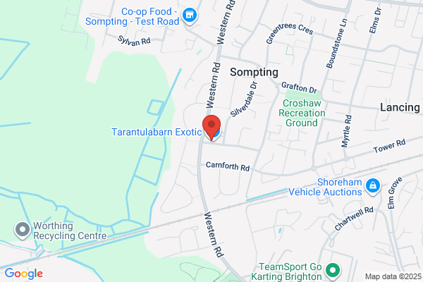 Sompting News