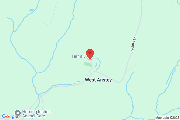 A J Tarr