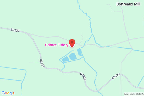 Oaktree Guest House